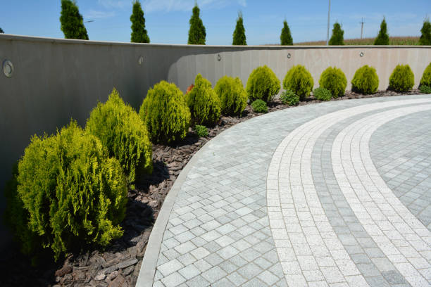 Best Concrete Paver Driveway  in Nanticoke, PA